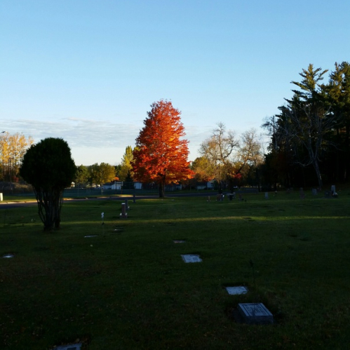 Image of cemetery in early autumn with green grass and several granite markers. There is a tree with orange leaves in the center of the picture and various green trees in the background.
