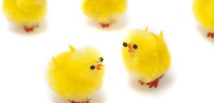 Image of multiple yellow cartoon chicks.